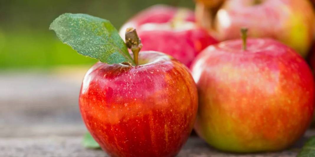Elmayı sirkeli sodalı suya at mucizeye tanık ol! Ahmet Maranki kimsenin bilmediği sırrı açıkladı 5
